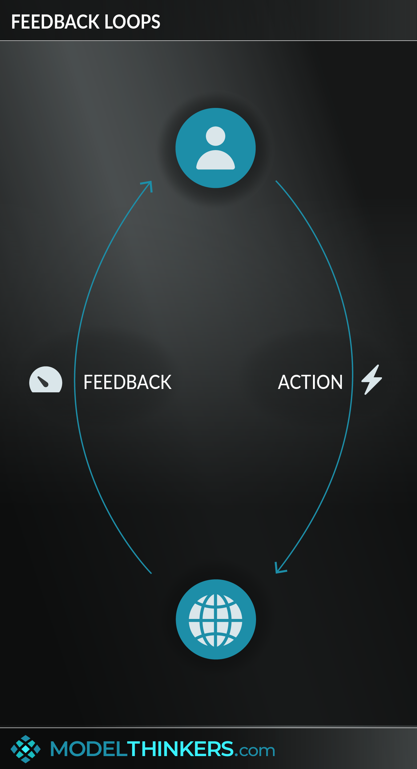 Feedback Loops (& Homeostasis)