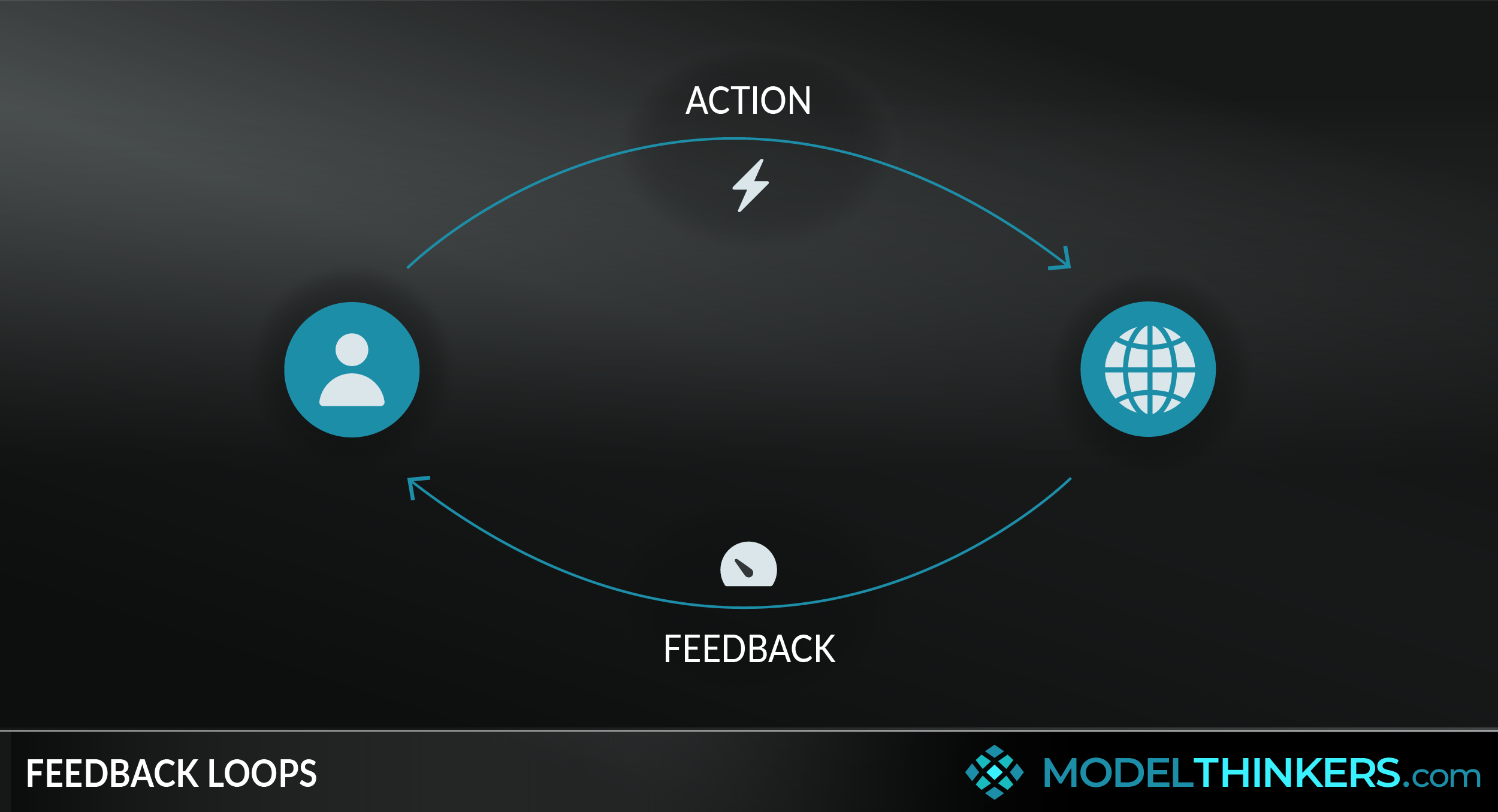 Feedback Loops (& Homeostasis)