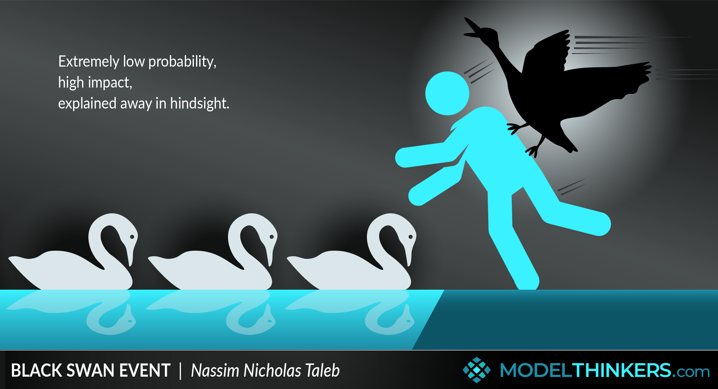 ModelThinkers Black Swan Event