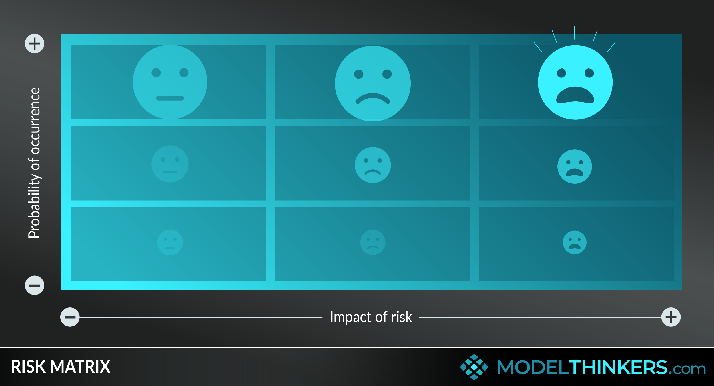 Risk Matrix